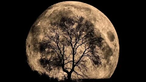 Raw lua