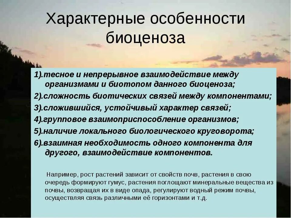 Структура биоценоза. Биотоп и экологическая ниша. Характеристика биоценоза. Продуценты. Характеристика биоценоза.