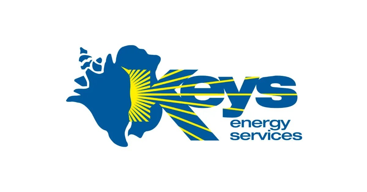 Wps логотип. Esco logo. Energy services. Energy services. Vs energy service.