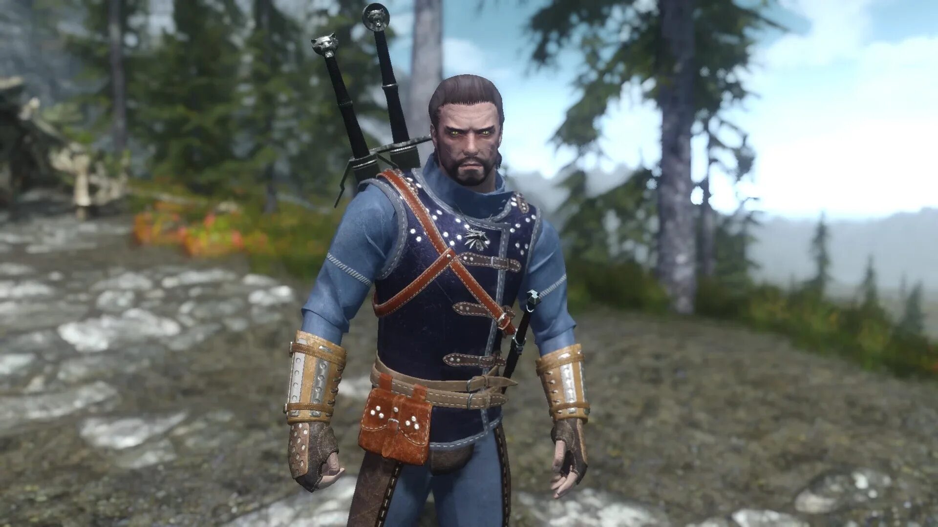 Skyrim мод ведьмак