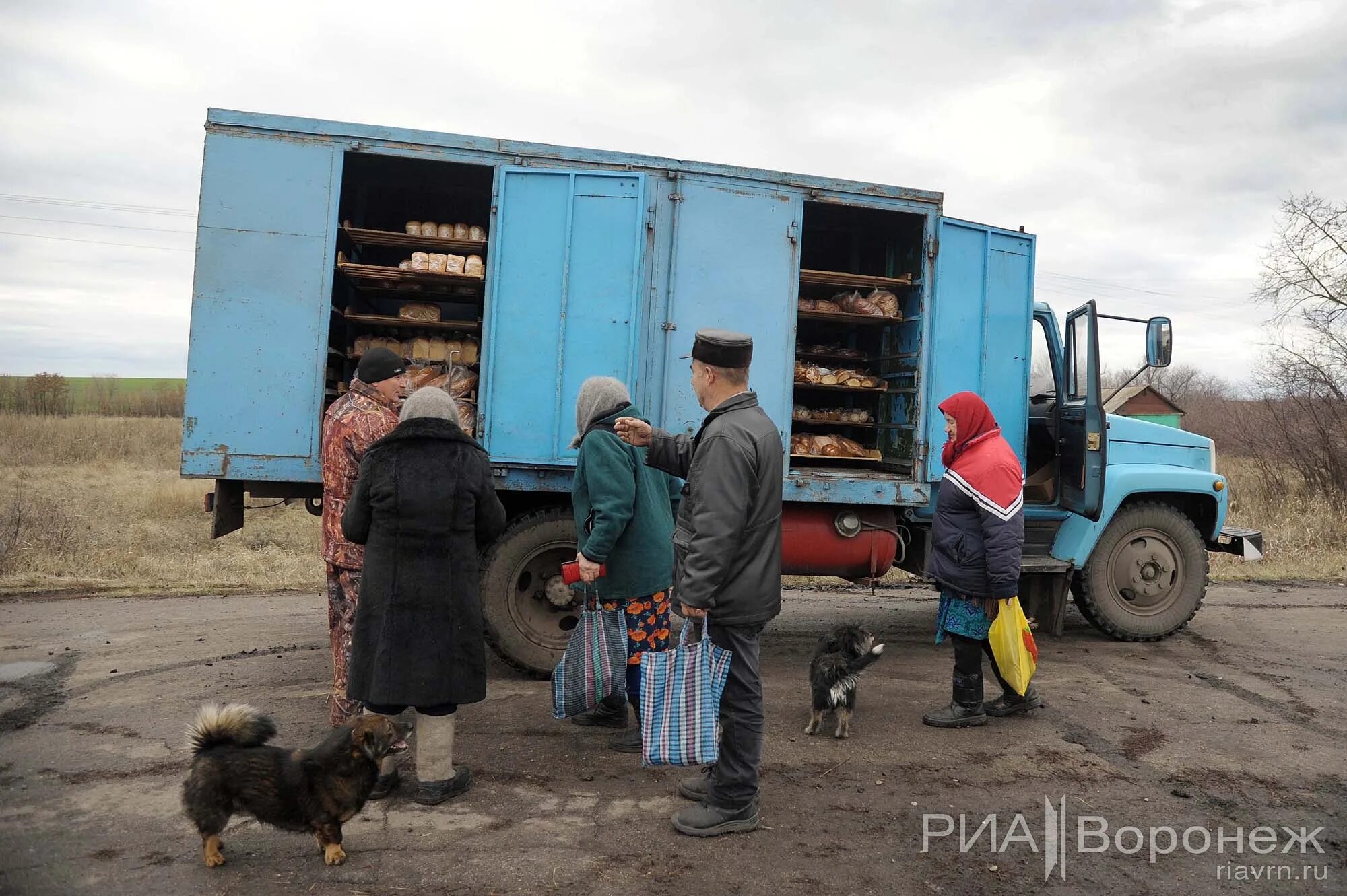 Село мужичье воронежская область. Погода в мужичье. Погода в мужичье. Погода в мужичье. Погода в мужичье.