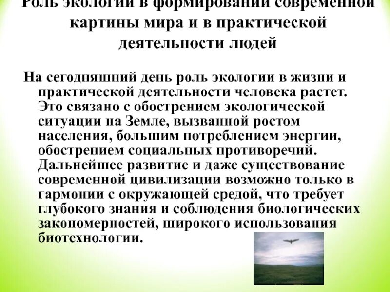 Почему каждому человеку необходимы экологические знания. Роль экологии в практической деятельности людей. Роль экологии в современном мире. Экологии в жизни и практической деятельности человека.