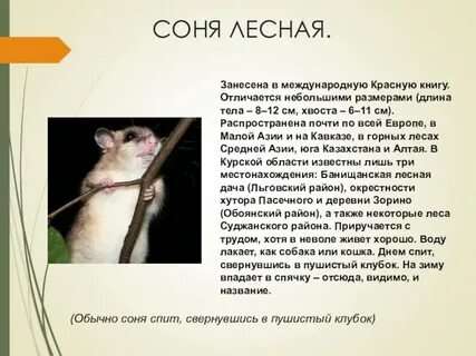 Маленькое краткое описание