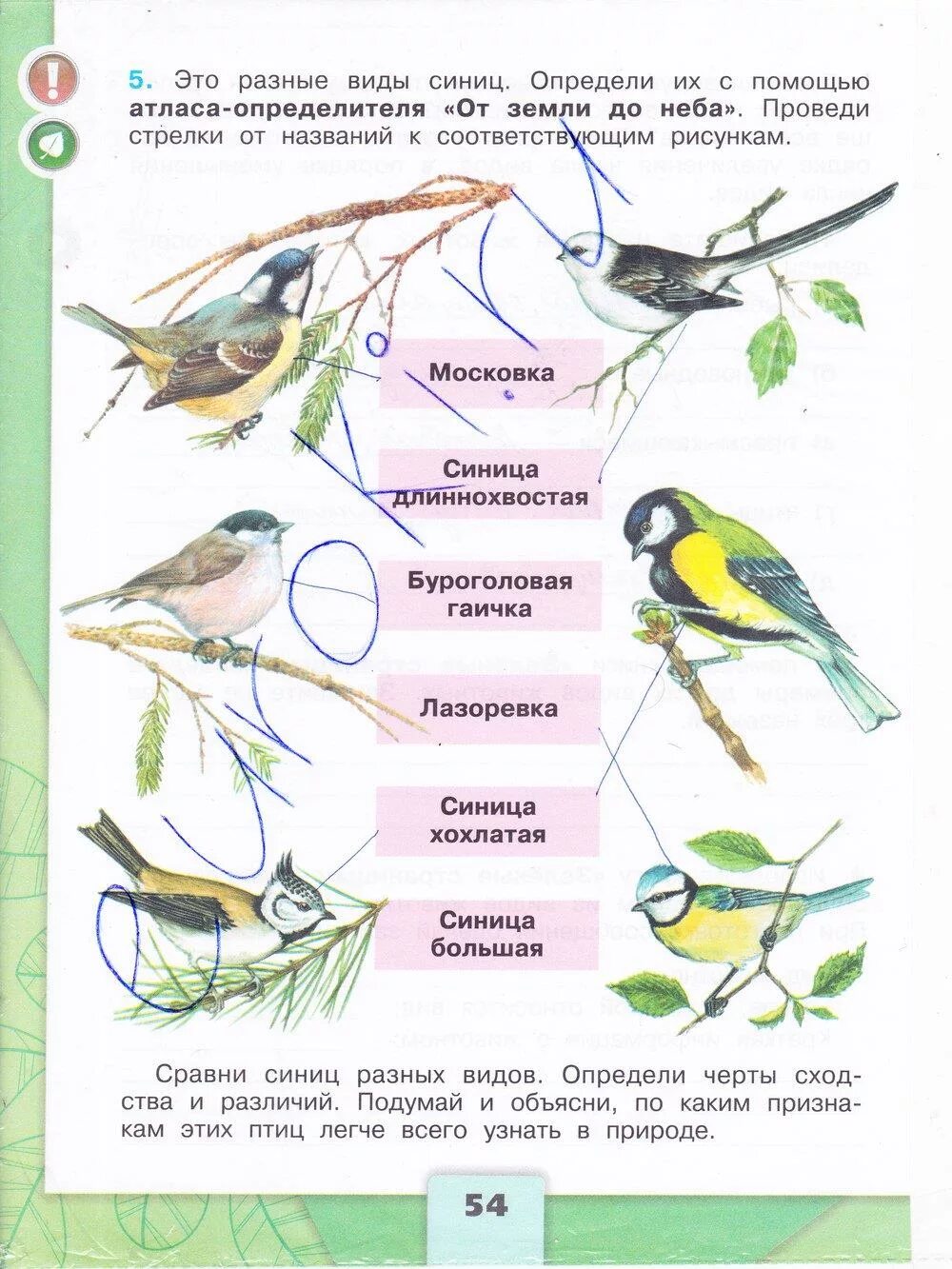 Рабочая тетрадь окружающий мир Плешаков часть 1 страница 54. Окружающий мир 3 класс рабочая тетрадь Плешаков 1 часть ответы на стр 54. Окружающий мир 3 класс рабочая тетрадь Плешаков 1 часть ответы с 54. Окружающий мир 3 класс рабочая тетрадь 1 часть страница 54 Плешаков. Окружающий 3 класс страница 52