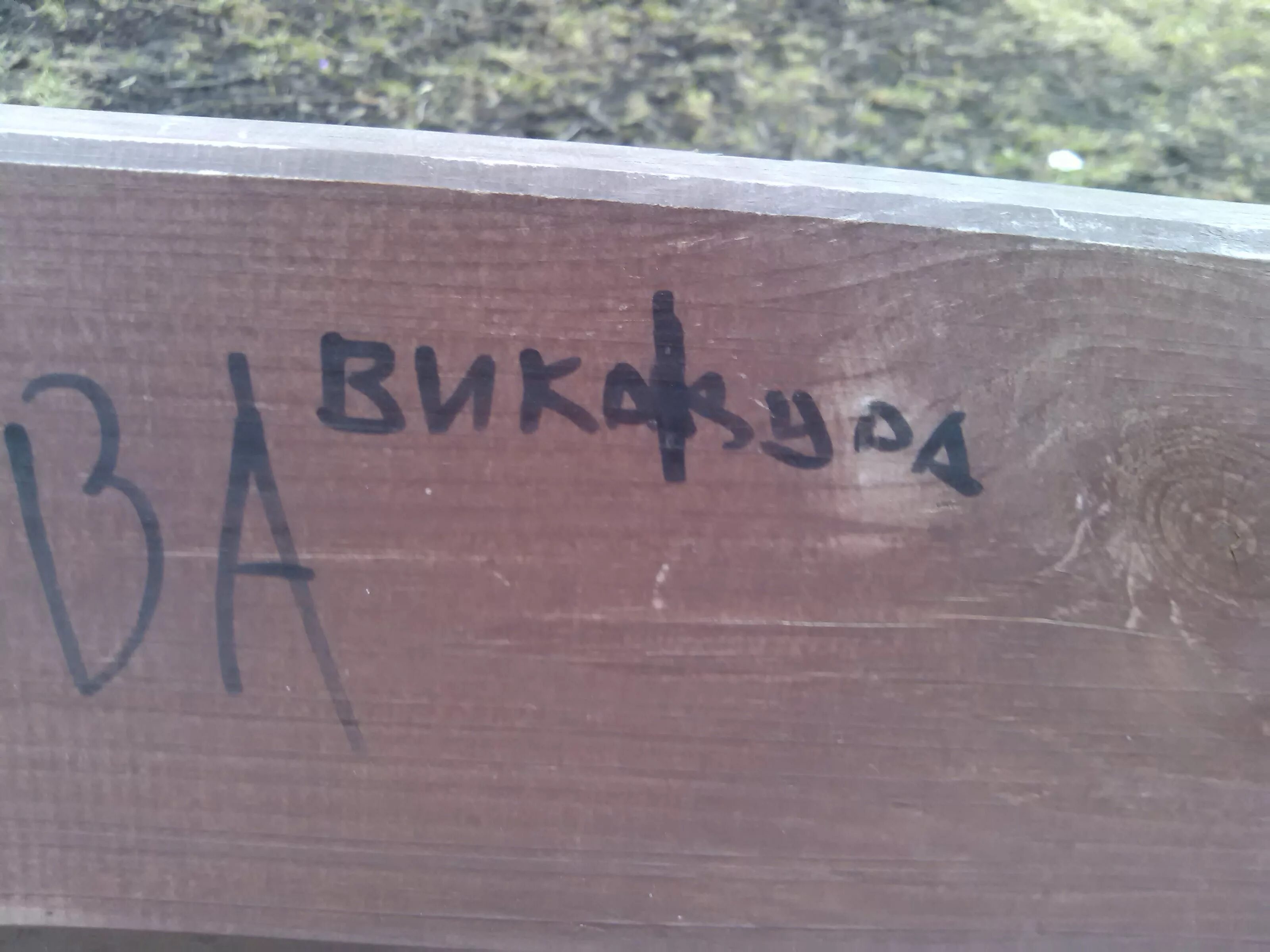 Вики дуры. Вика дурочка. Вика идиотка. Картинка с надписью две дурынды. Надпись Вика дурочка.