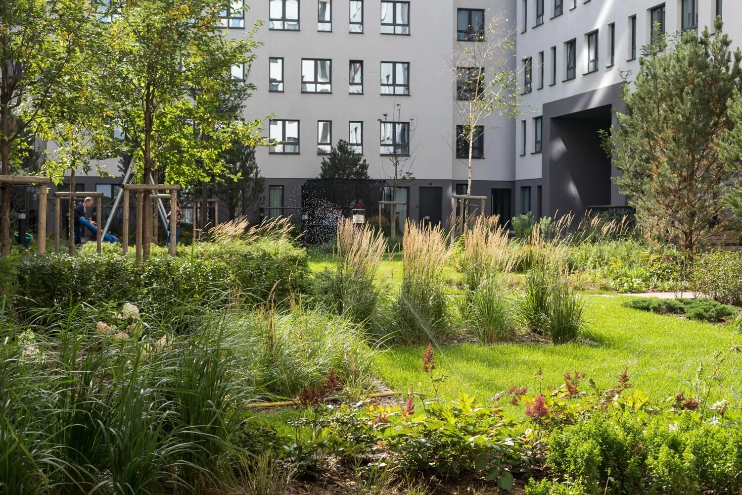 Брусника тюмень двор. Крым зеленый дворик морское ул клик абилити. Маленький зеленый двор. Курортное 34 крым зеленый дворик. Витязево тульский дворик.