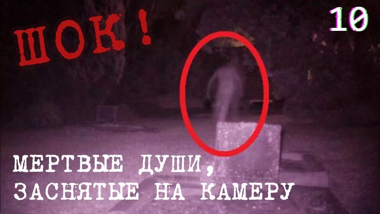 Мистика в жизни обычных людей