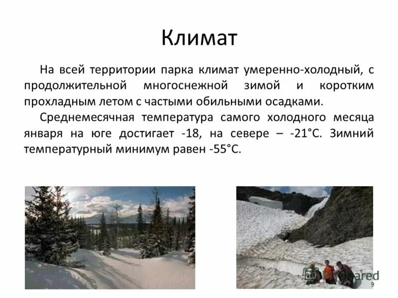 Климат. Климат Урала. Климат уральских гор. Умеренный холодный климат.