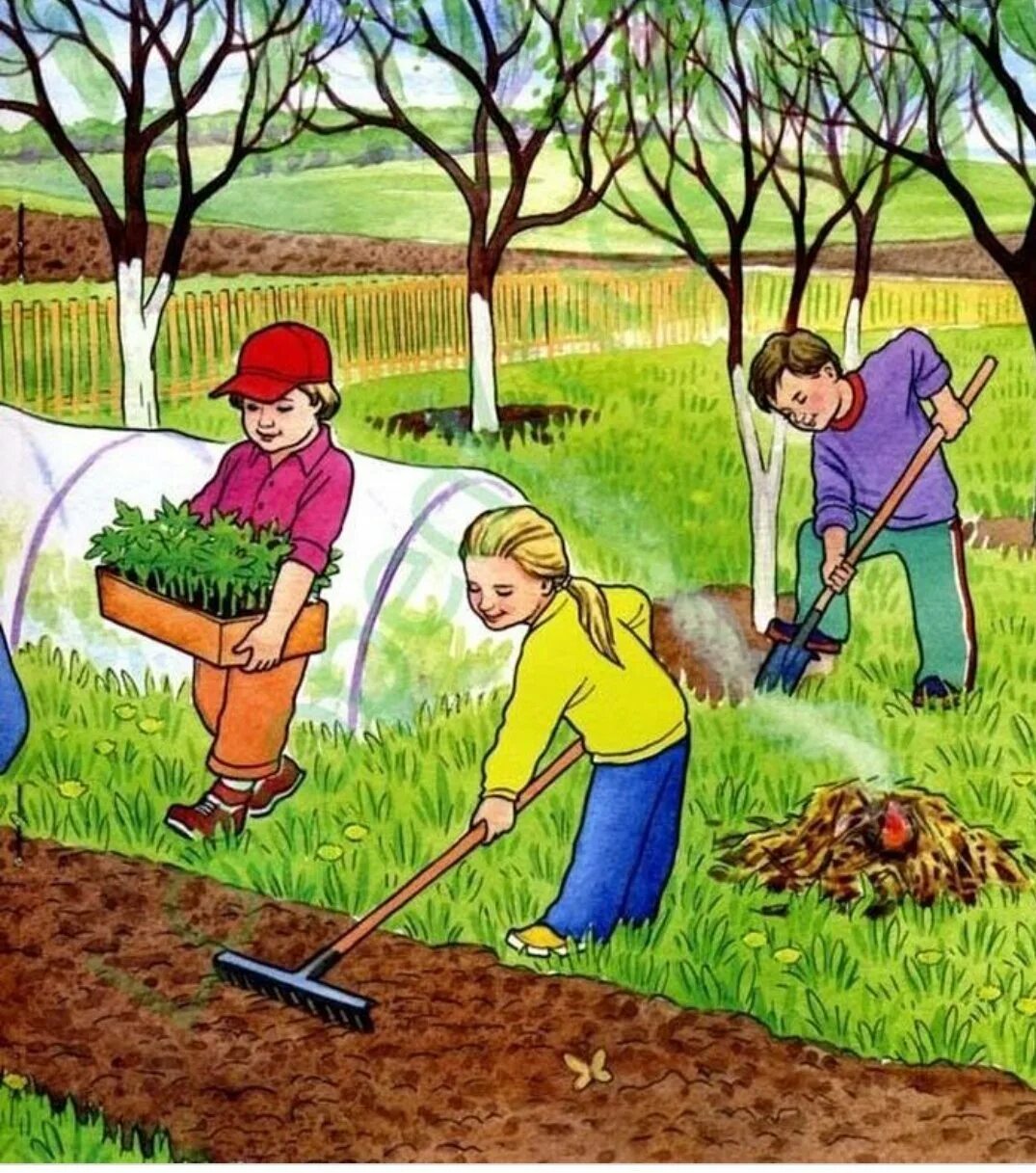 Труд детей на огороде. Труд в огороде весной. Весенние работы для детей. Труд весной для дошкольников.