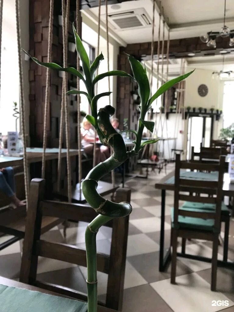 Sabai, ресторан, Советский просп., 35, Кемерово, Россия - Яндекс Карты