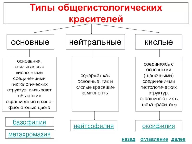 Основные методы гистологии. Основные красители в гистологии. методы окрашивания гистологических препаратов. типы красителей в гистологии. основные и кислотные красители гистология.