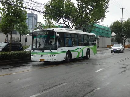 206 автобус богородск
