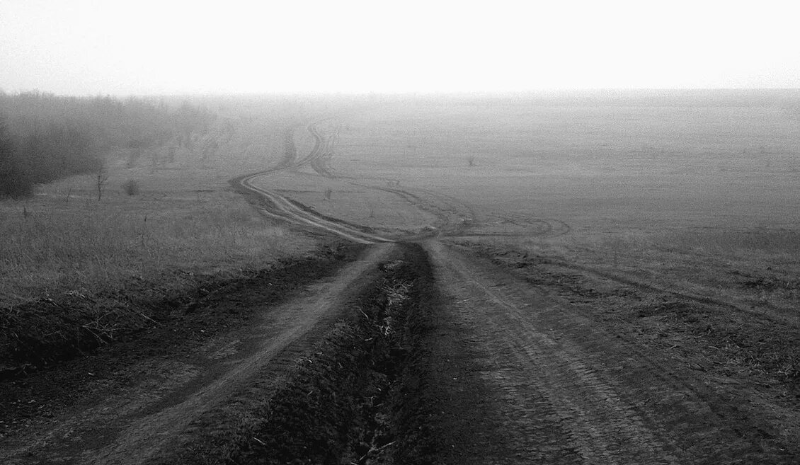 Пыль дороги да степной. Сельская дорога. Старая дорога. Проселочная дорога. Дорога черно белая.