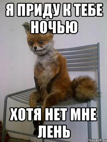 Apple user452937947 forebears io кому лень писать. Мемы про лень. мне лень мем. мемы про лентяев. картинка мне лень.