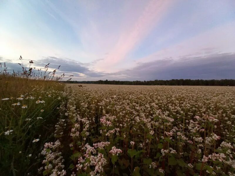 Натюрморт в желтых тонах. Вышивка солнечное настроение. Солнечное настроение дальнее. Солнечного настроения. Солнечное настроение дальнее.