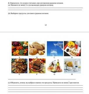 Основу рациона питания медведей составляет