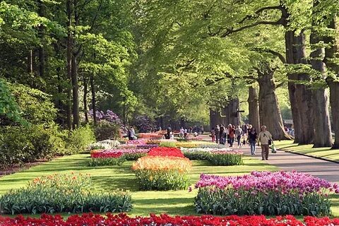 Парки разных городов