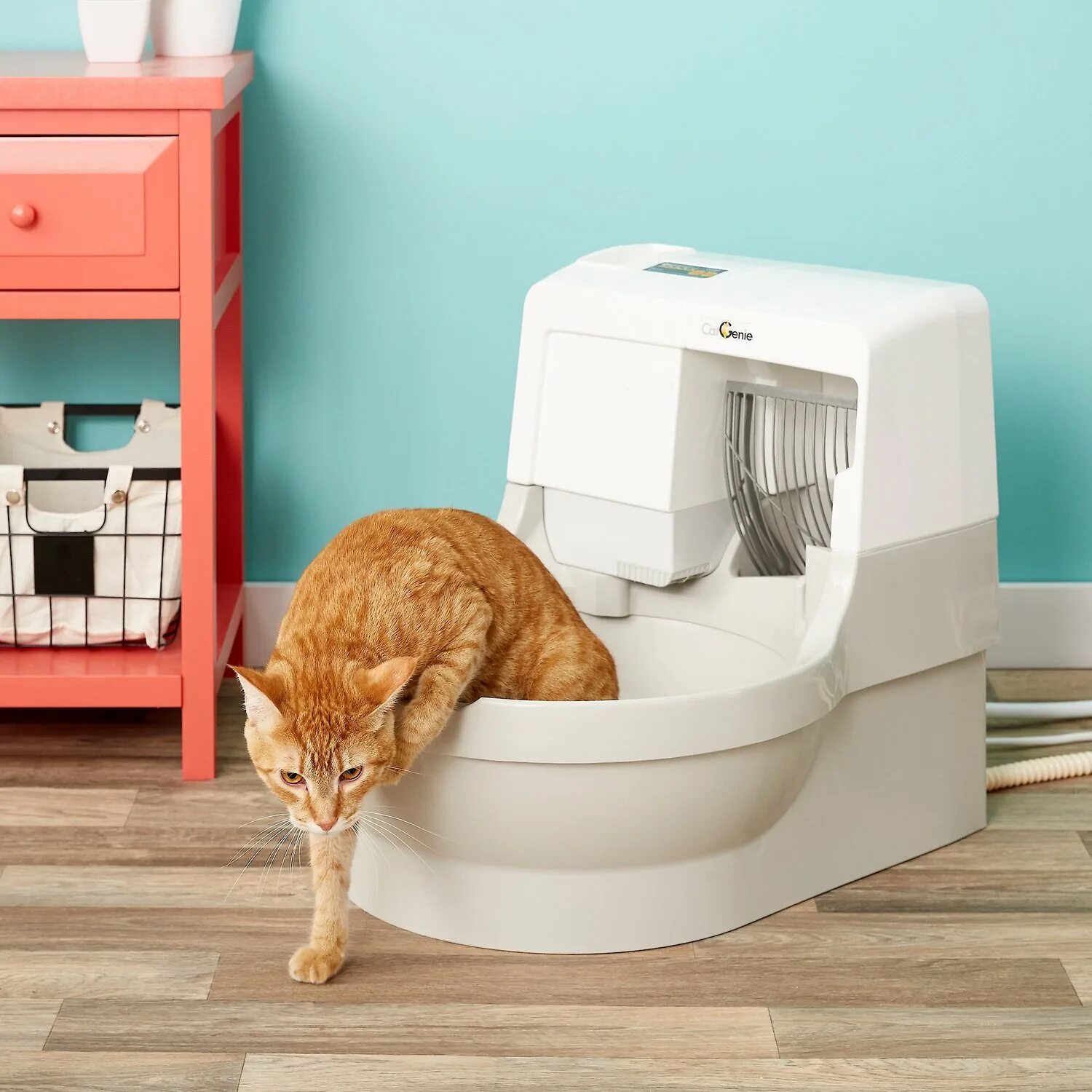 Cat Litter Box. Биотуалет для кошек. Автоматический туалет для кошек. Кошачий лоток с высокими бортами. Какой лоток лучше для кошки