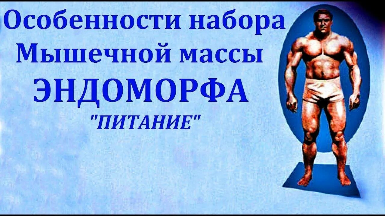Как похудеть эндоморфу