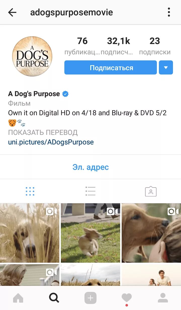 Аккаунт собаки. Dogs are like people. Аккаунт собаки. Аккаунт собаки. Аккаунт в инстаграме с животными.