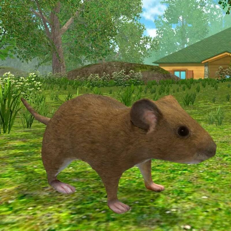 Включи игры мыши. Маус симулятор. Симулятор Mouse Simulator. Симулятор мыши в доме. Игра про мышь.