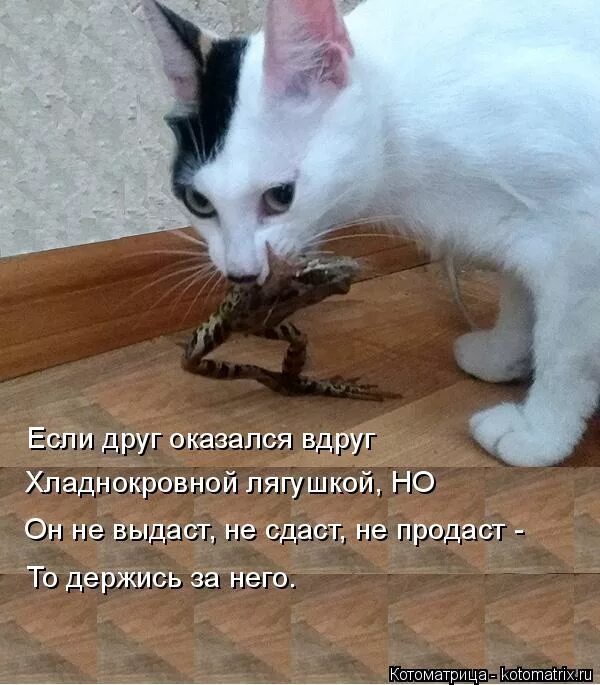 Посадишь вдруг