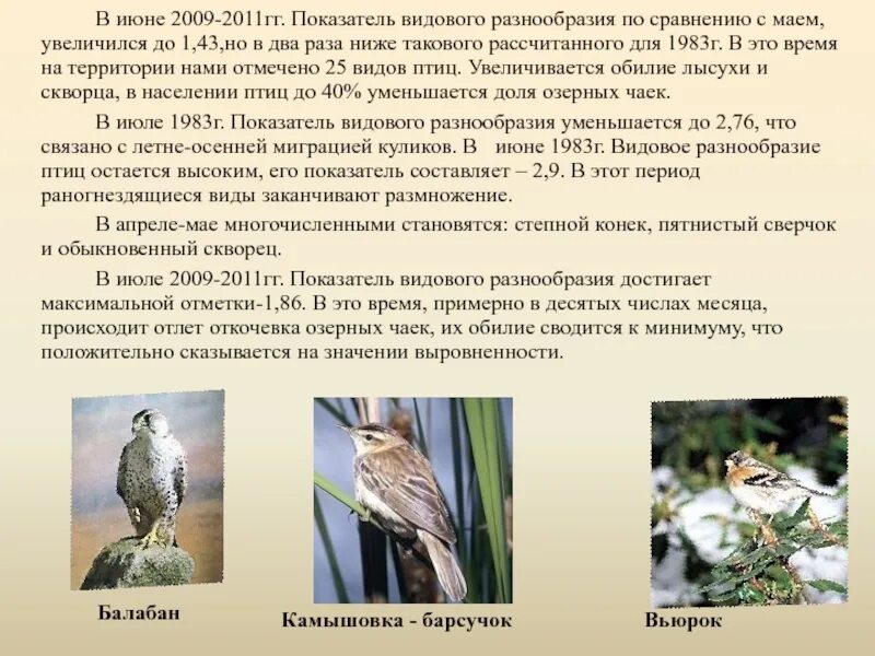 Показатель видового разнообразия. Видовое разнообразие. показатели видового разнообразия. видовое разнообразие это в биологии.