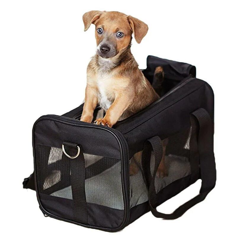 Переноска pet. Сумка-переноска для собак Louis Vuitton Softsided Luggage Dog Carrier 409876-Luxe. Pet Carrier переноска. AMAZONBASICS Soft-Sided переноска. Pet Carrier переноска мягкая.