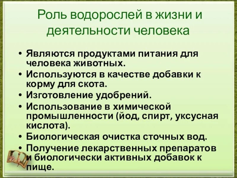 5 значений водорослей. Роль водорослей. Роль водорослей в жизни человека. Роли водорослей в жизни людей и животных. Ламинария роль в жизни человека.