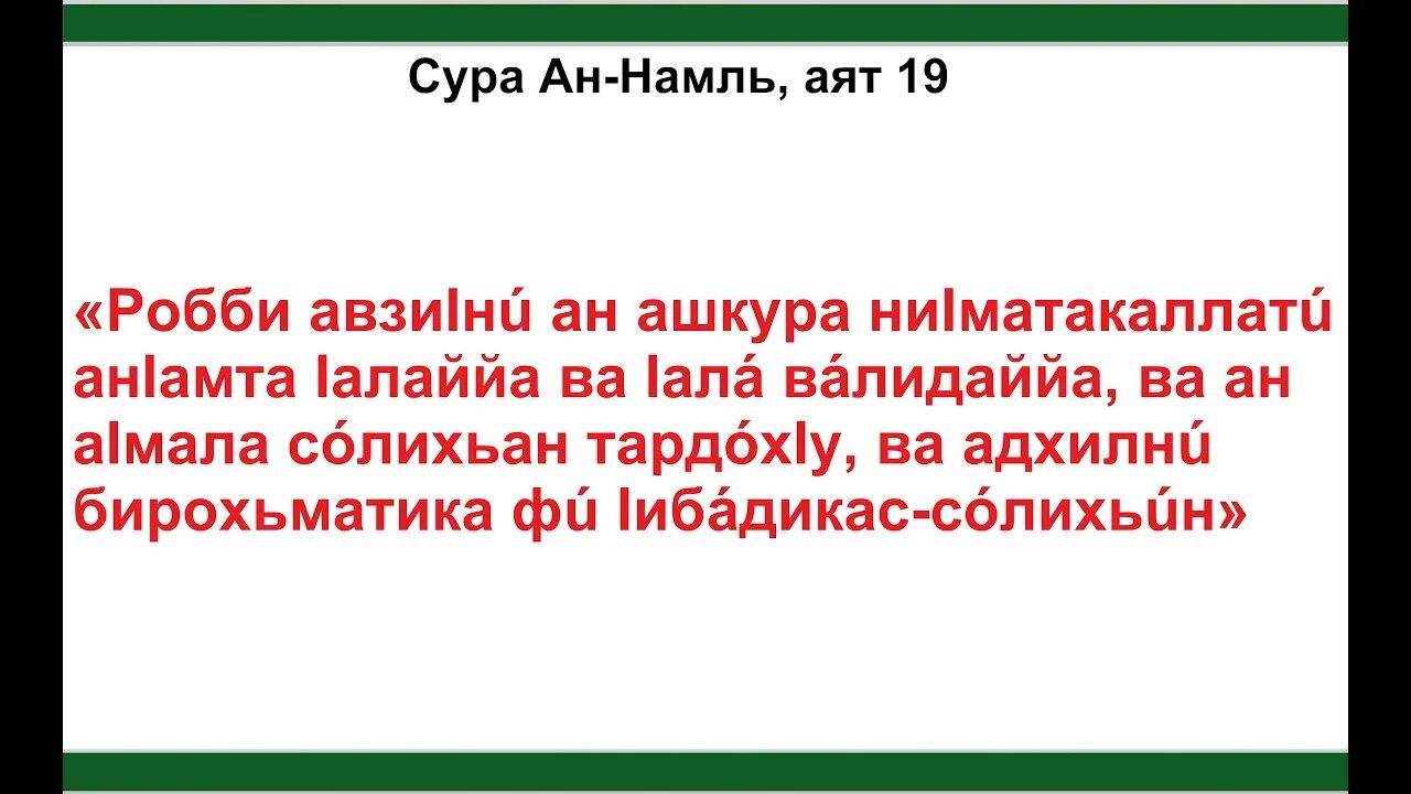 Сура Аль Мумтахана. Сура Намль аят. Сура муравьи 19 аят.