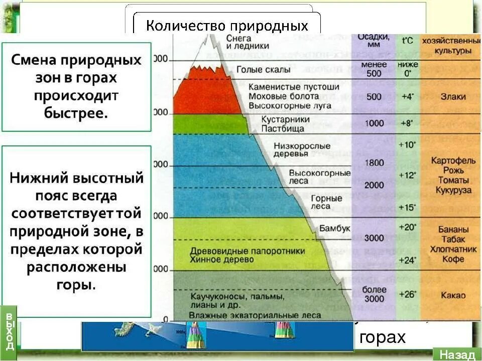 Природные зоны кавказских гор. Высотная поясность саяны. Высотная поясность кавказа 8 класс география. Высотная поясность таблица природные зоны. Кавказские горы высотная поясность схема.