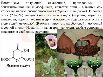 Алкалоид в чайных листьях 4