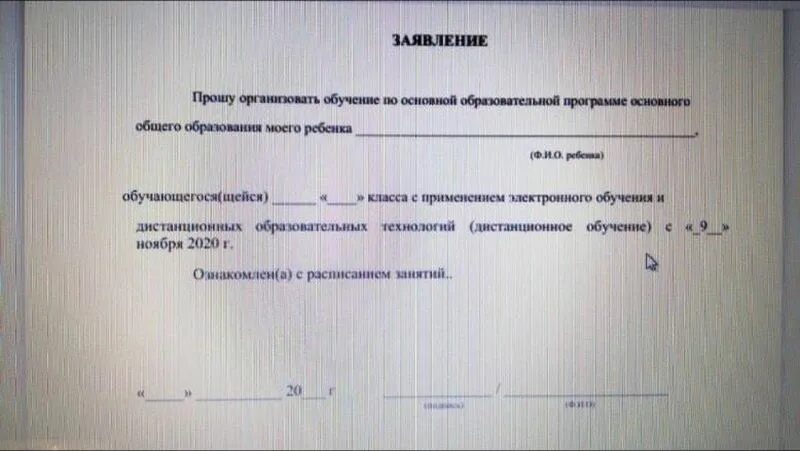 Работа россии заявление на обучение. Заявление прошу. Прошу провести обучение. Заявление прошу организовать Дистанционное обучение. Прошу организовать для моего ребенка образец.