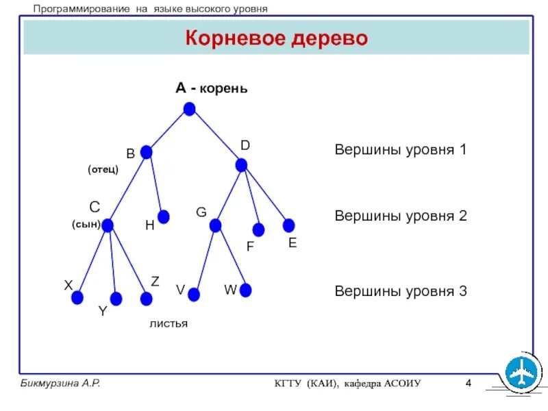 Дано n дерево. Дерево программирование. корневая вершина дерева. языки высокого уровня. вершина дерева программирование.