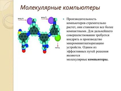 Объединения состоят из