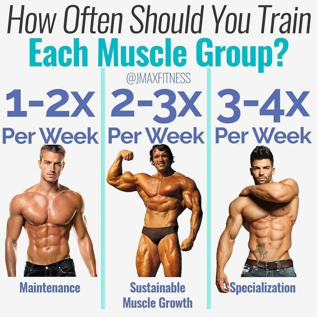 How many times you take. Воркаут эктоморф. эктоморф кроссфит. ectomorph группа. how to gain muscle mass.