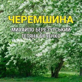 Черемшина украинская народная