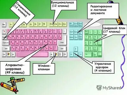 Кнопка почему называют