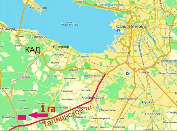 Старый петергоф ломоносов автобус