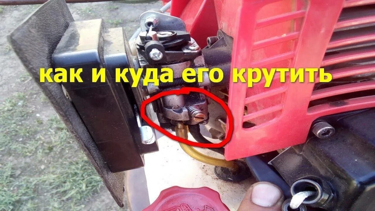 Регулировка карбюратора триммера huter 1900. Карбюратор триммера хускварна. Регулировочные винты карбюратора штиль фс55. Карбюратор c1q-s174. Регулировка холостого хода на триммере чемпион.