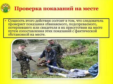 Проверка показаний на месте в уголовном процессе