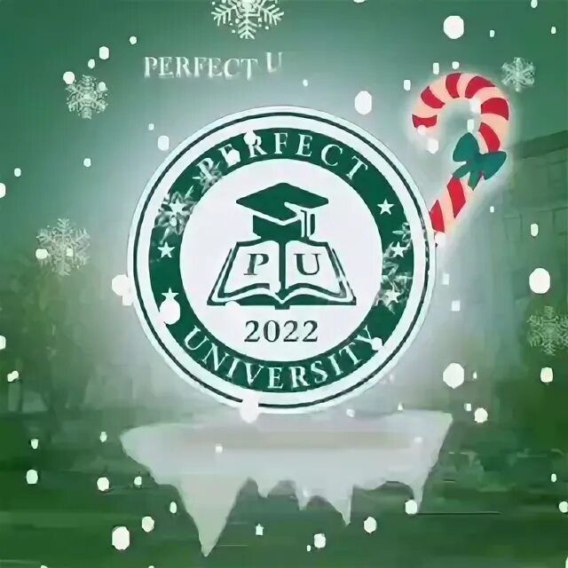 Студенты университета саксион. Diplomat university ташкент. Судейская мантия. Perfect university. Перфект университет.