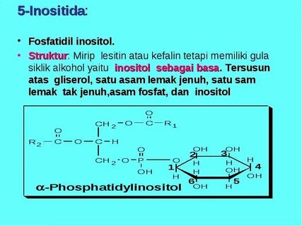 Инозит и инозитол разница