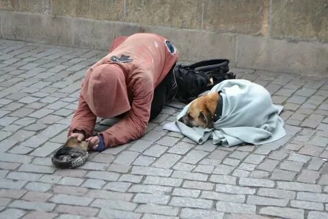 Попрошайничать