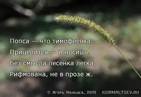 Не надо смысл песни