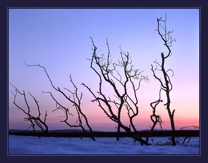 холодный северный ветер. ветер севера. северный ветер природа. Pole surepka ветер северный. северный ветер фото.