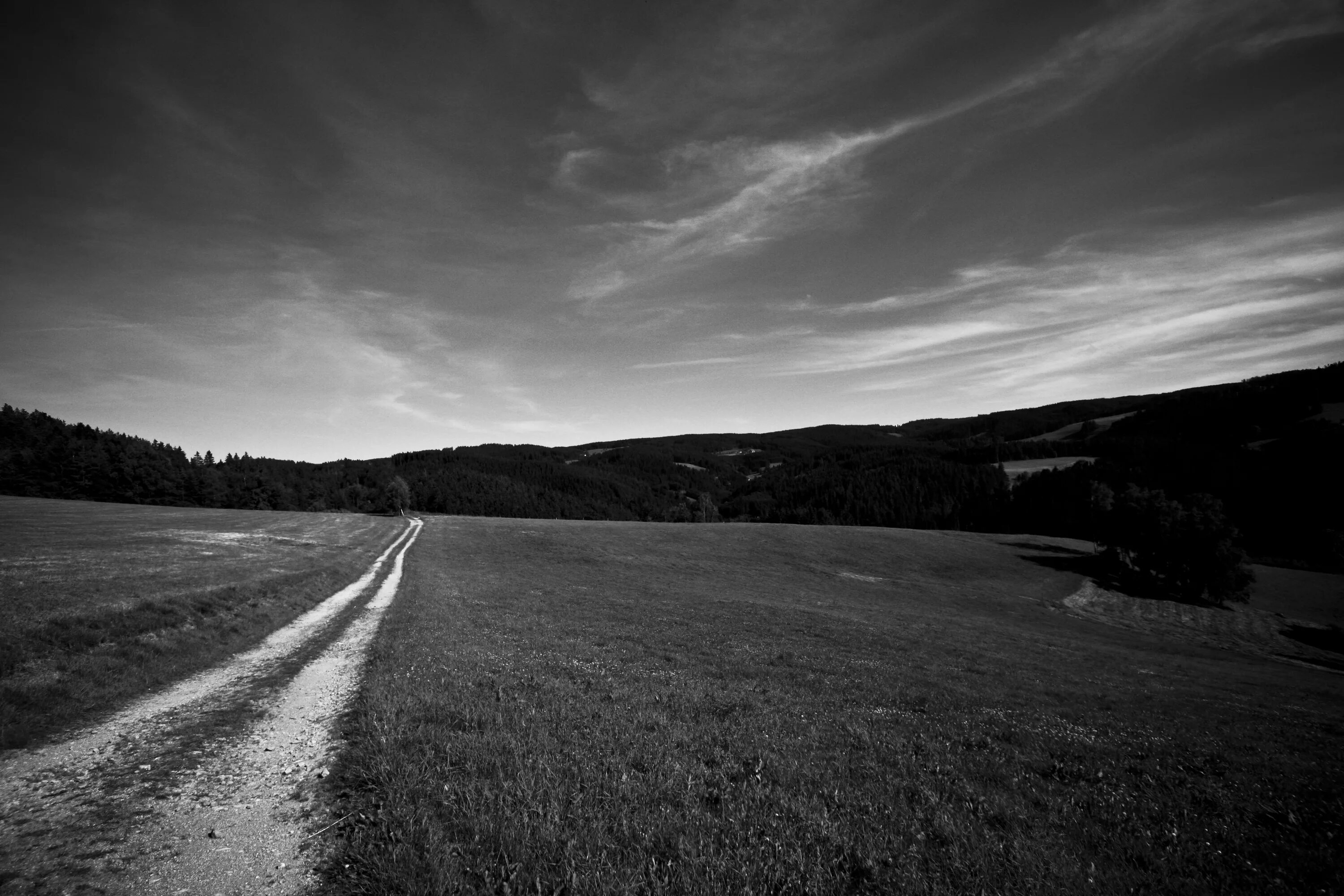 Дорога памяти то. Дорога памяти. Дорога памяти картинки. Dirt Road. Природа и дорога фото чб.