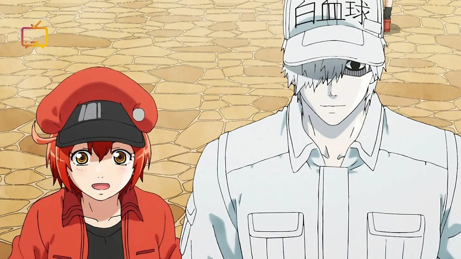 Hataraku saibou нейтрофил. Аниме hataraku saibou red blood cell. См работа клеток. См работа клеток. Клетки за работой 2.
