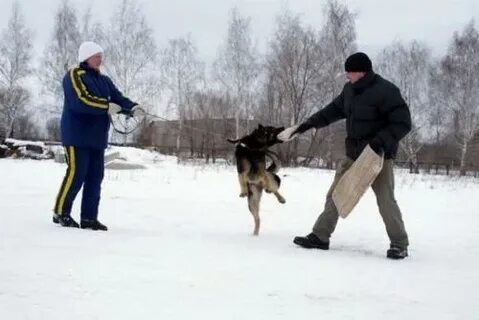 Тольятти февраль