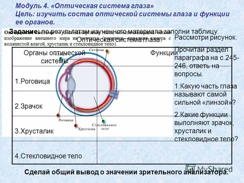 Строение оболочек глаза таблица. Оптическая система глаза лабораторная. оптическая система глаза части строение и функции. лабораторная работа изучение строения и работы органа зрения. лабораторная работа по биологии изучение строения глаза.